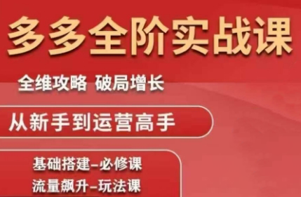 大炮·拼多多全阶实战课程(更新10月)-晶创聚力