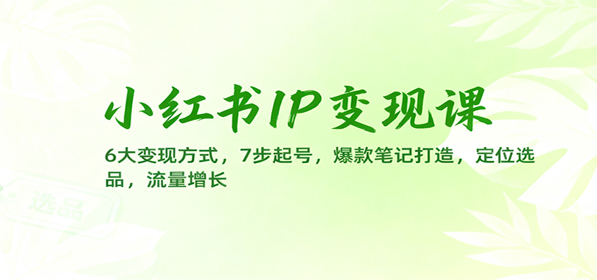 小红书IP变现课：6大变现方式，7步起号，爆款笔记打造，定位选品，流量增长-晶创聚力